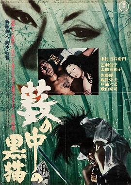 黑猫(大结局)