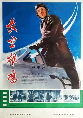 长空雄鹰