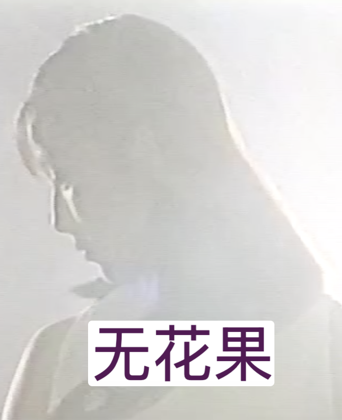 无花果（1996）(全集)