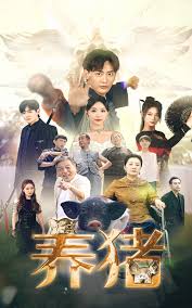 养猪(全集)