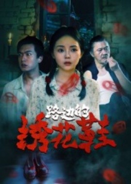 路边的绣花鞋(全集)