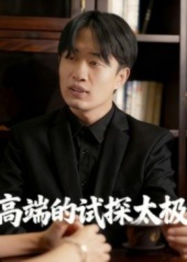 高端的试探太极(全集)