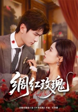 绸红玫瑰(全集)